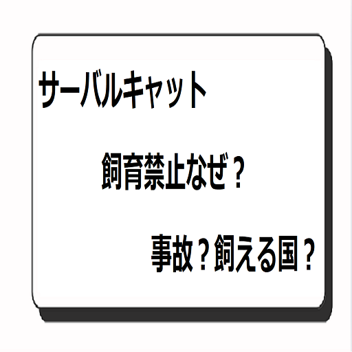 サーバルキャット飼育禁止なぜ？理由：事故？飼える国？